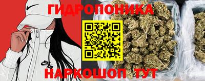 бошки Тара