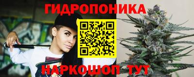 бошки Тара