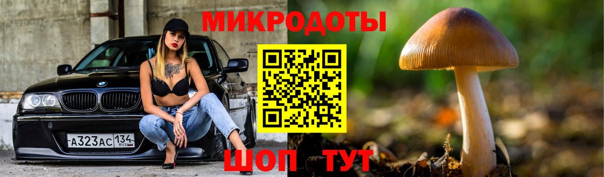 Галлюциногенные грибы Cubensis Норильск
